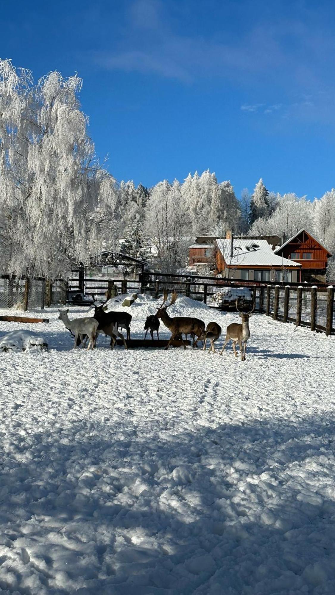 Farma Frantisek Stachy Exterior foto