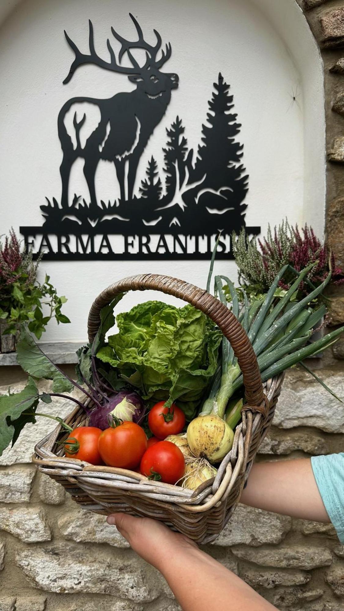 Farma Frantisek Stachy Exterior foto